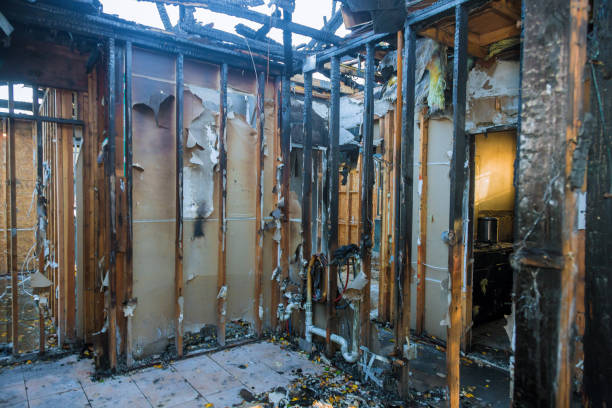 Professional Soot Cleanup technician working in Holly Springs, MS